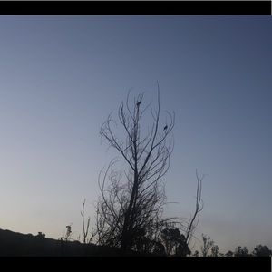 Meet your Posher, Barón